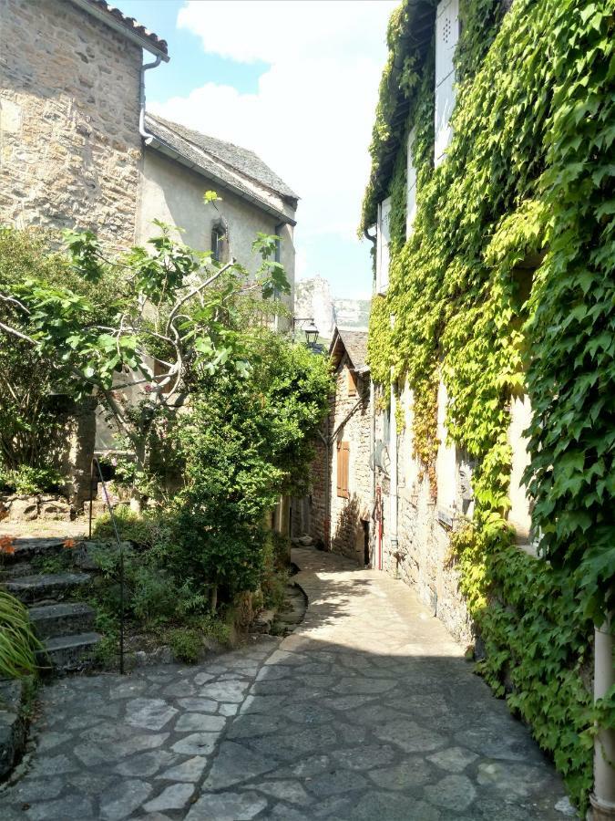 Bed and Breakfast Ermitage de Peyreleau Exterior foto